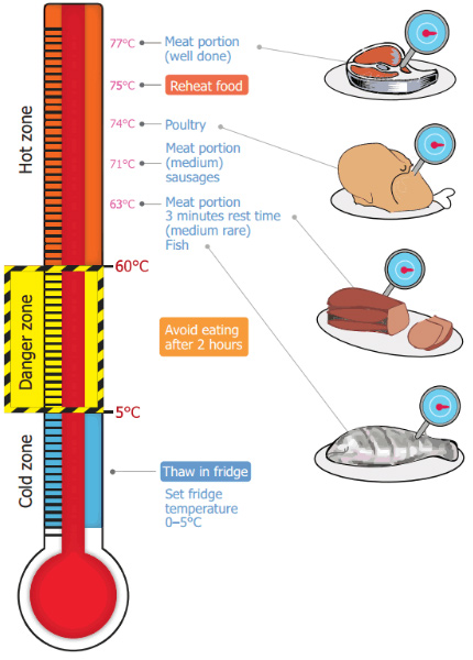 termometer cooking meat